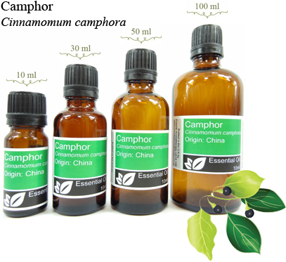 Camphor Essential Oil (Cinnamomum camphora)